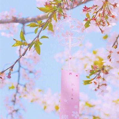 我叫mt变态山口山公益服下载